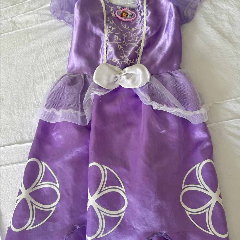 Disney Sofia Purple and White Kids Dress